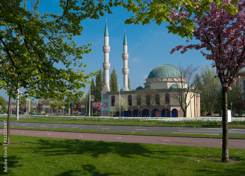 Obraz premium mosque