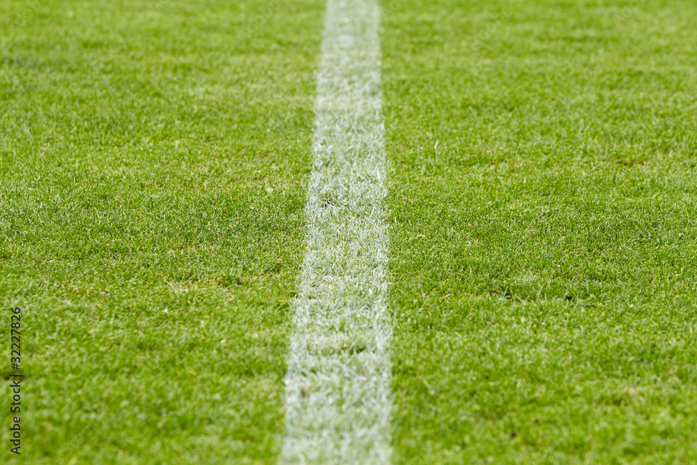 Obraz premium stadium lawn
