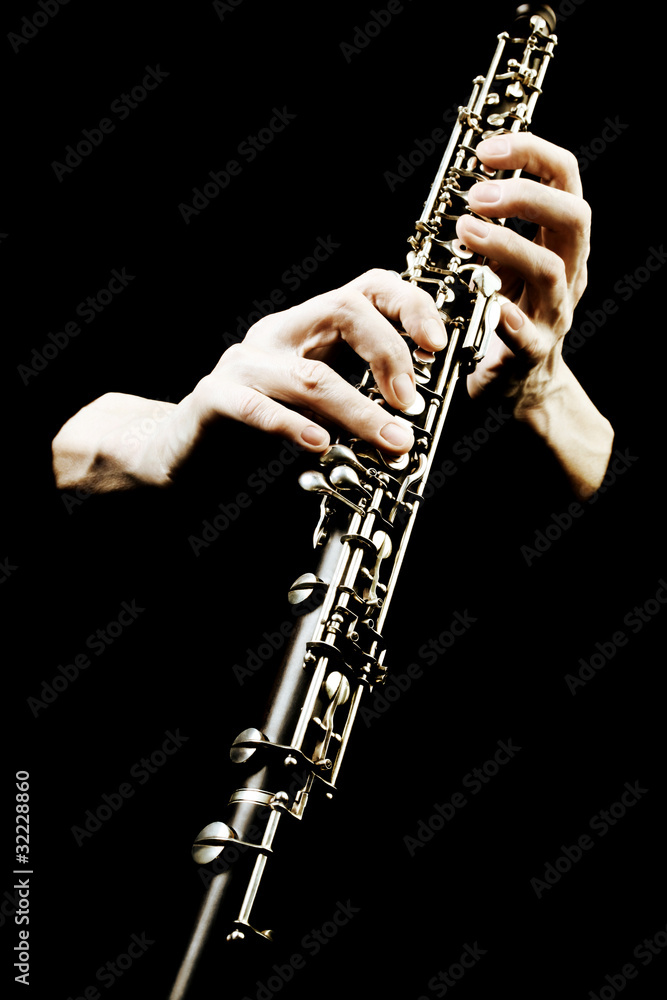 Fototapeta premium Oboe musical instrument of symphony orchestra.