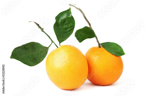 Orange fruit couple.