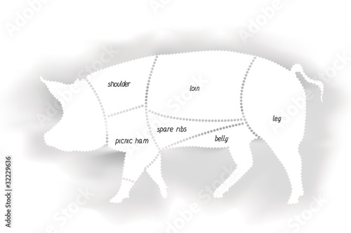 Pork Meat Diagram