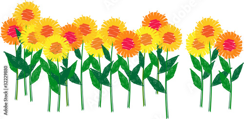flowerfield_hs