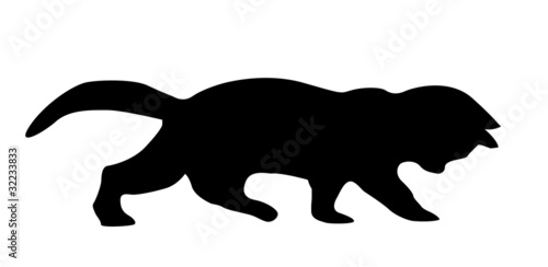 silhouette cat on white background