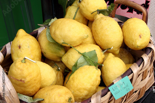 Limoni della costiera Amalfitana