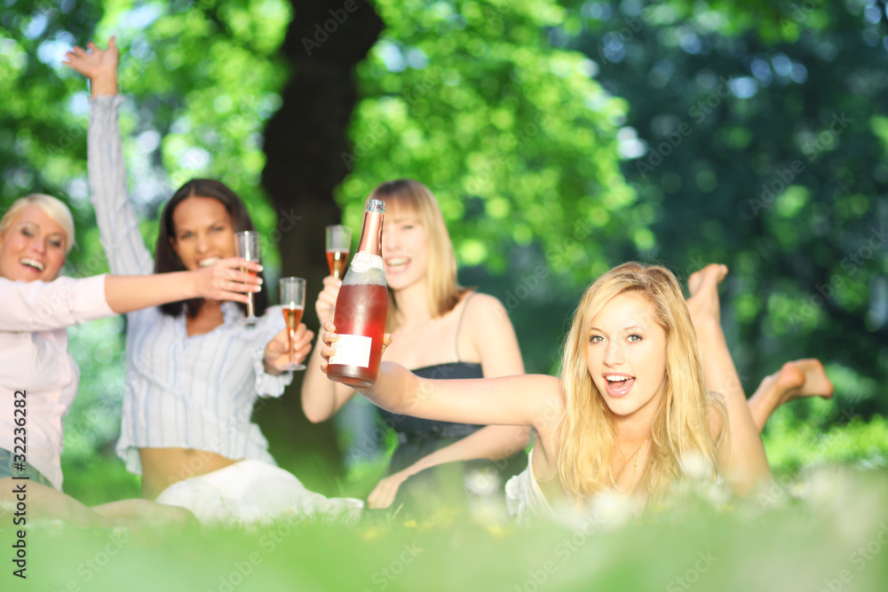 Obraz premium Picknick mit Prosecco