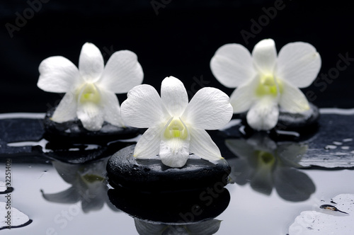 Spa Still life with beautiful white orchid on therapy stones