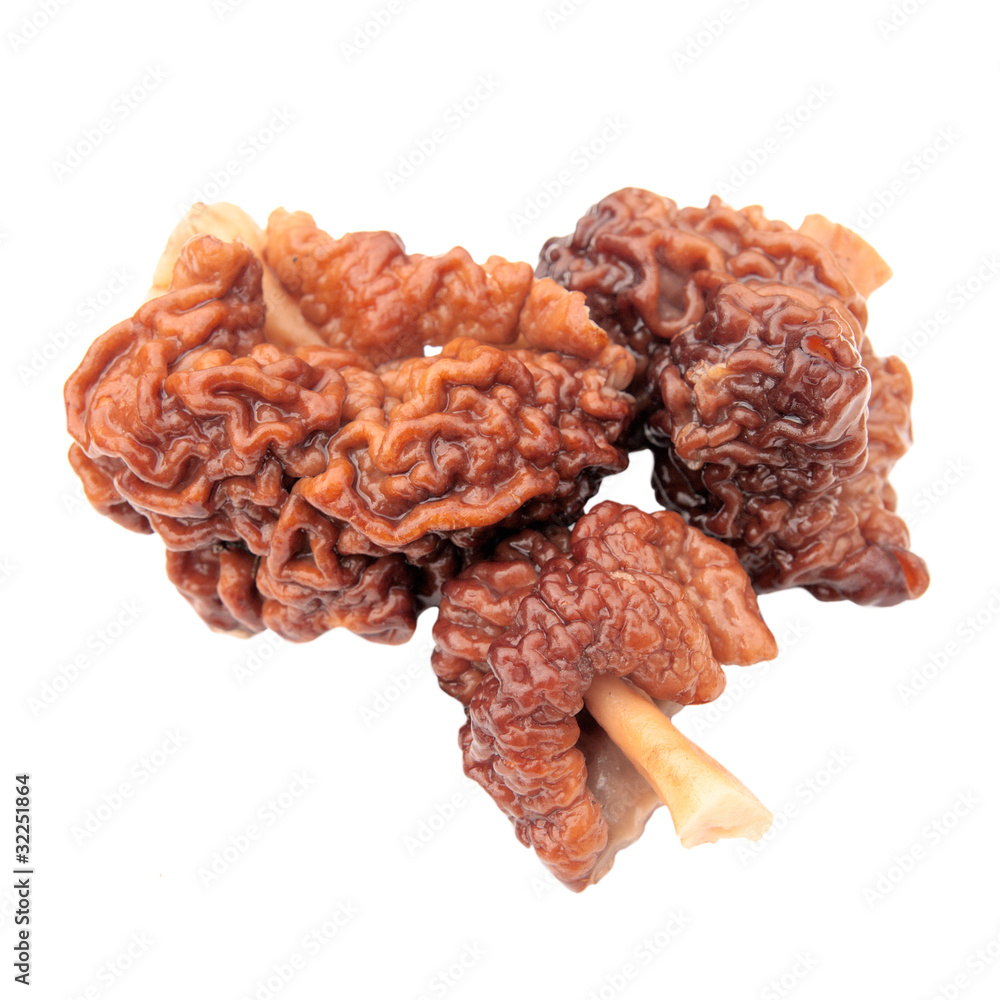 Isolated three morel. unusual mushroom Isolated three morel. unusual mushroom