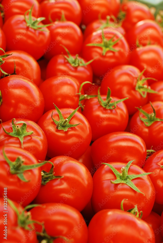 tomatoes tomatoes