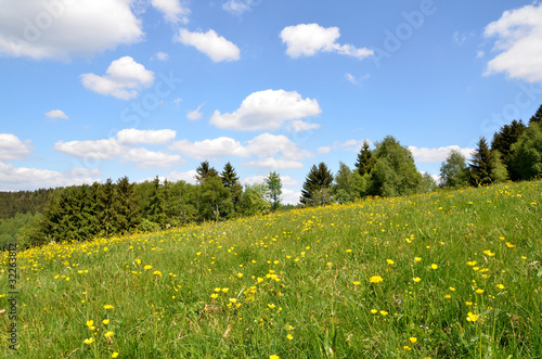 Landschaft Blumenwiese