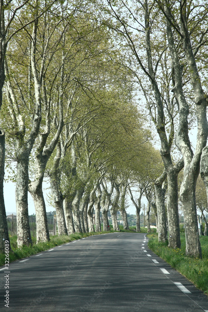 Naklejka premium route