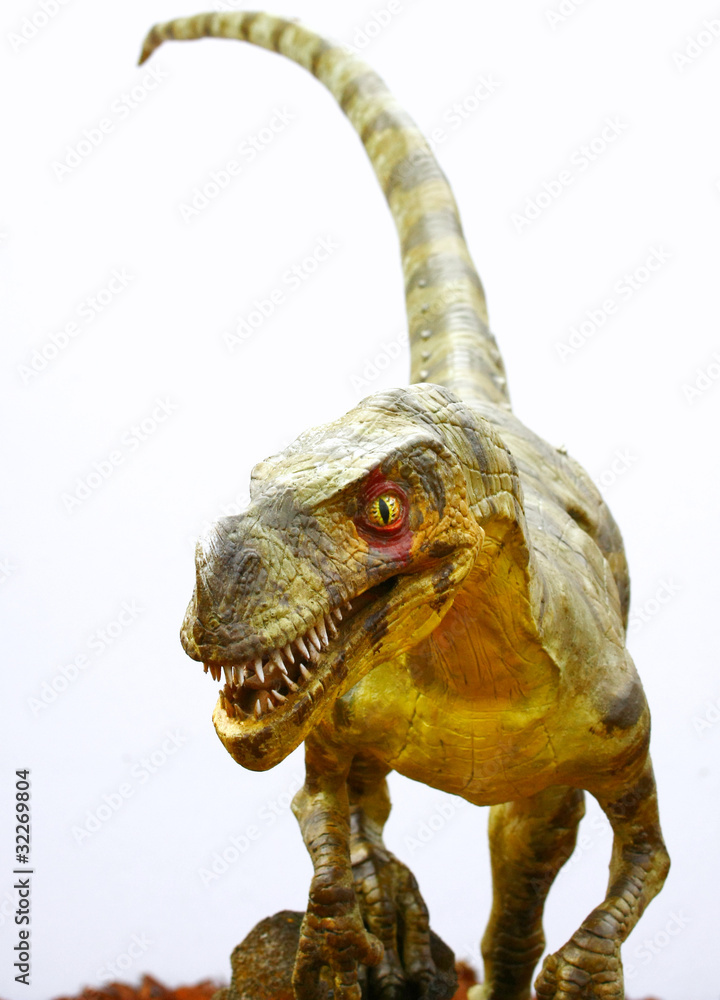 Fototapeta premium Ornitholestes dinosaur na bielu