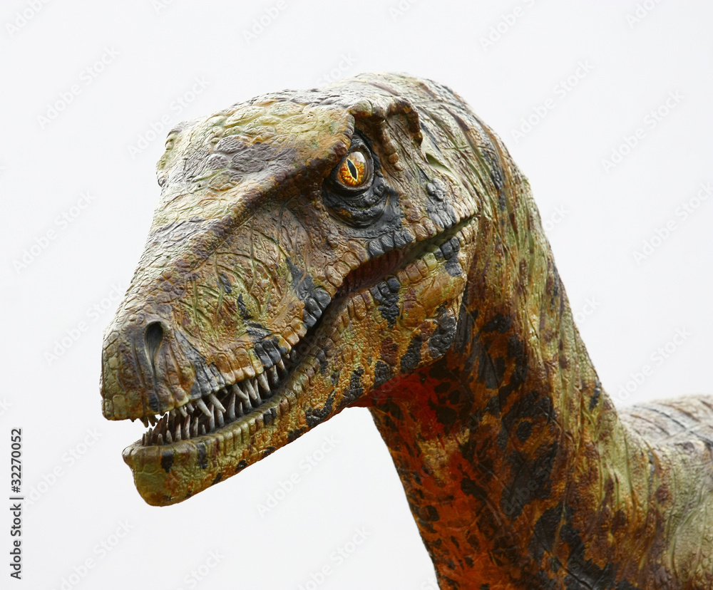 Naklejka premium Deinonychus głowa dinozaura na białym tle