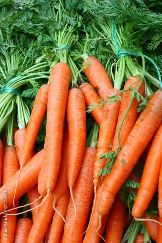 Carottes bio