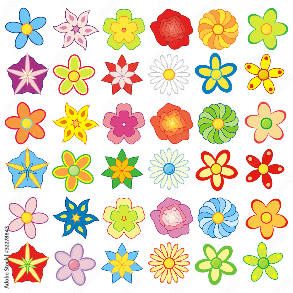 Paczka kolorowych kwiatów (12 rodzajów kwiatów)