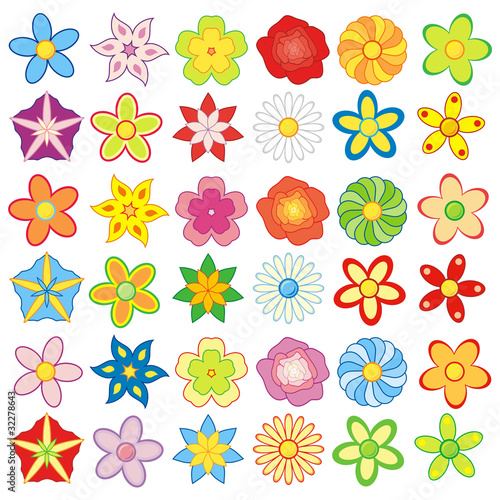 Paczka kolorowych kwiatów (12 rodzajów kwiatów)