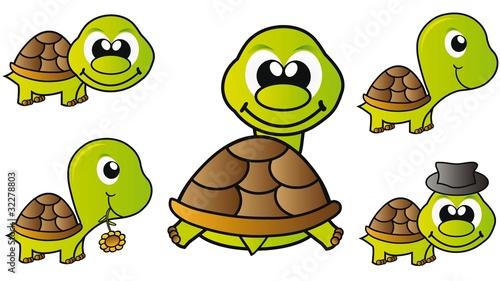 turtle set