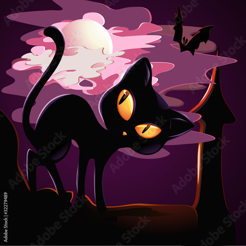 cat