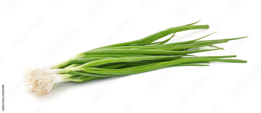 Chives on a white background Chives on a white background