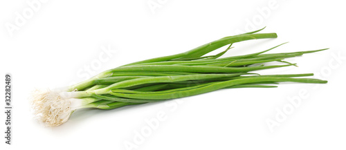 Chives on a white background