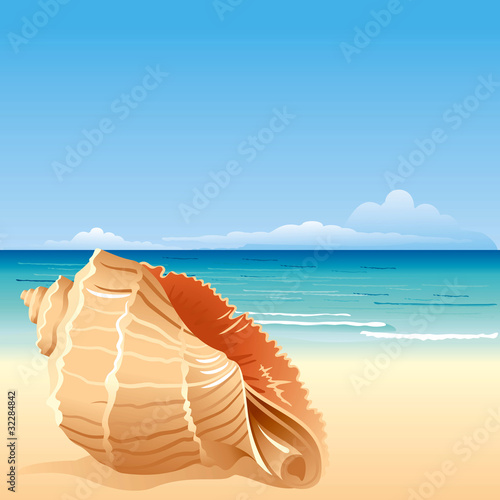 Sea background with shell