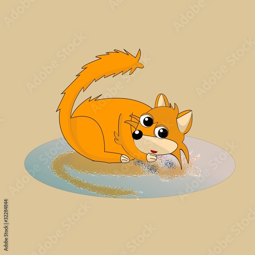 carte renard sur une flaque