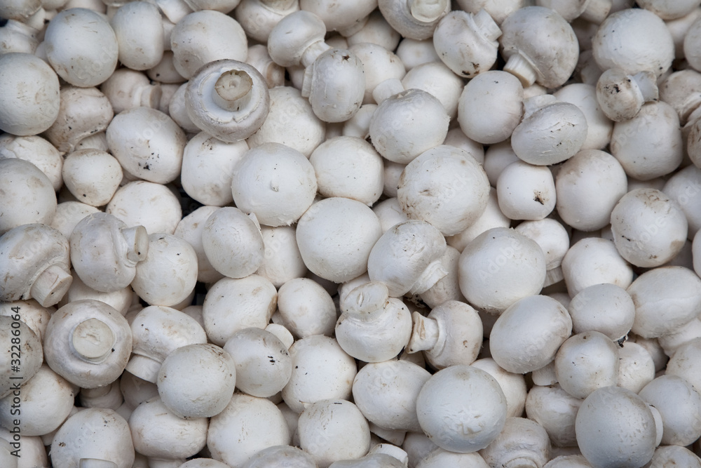 Mushroom Background on Market Stall Mushroom Background on Market Stall