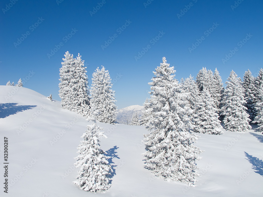 Winter landscape Winter landscape