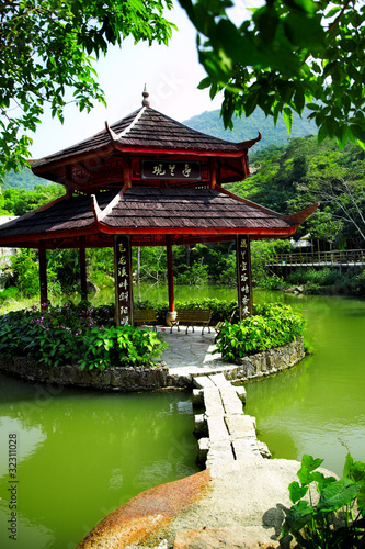 chinese pond © Vasiliy Koval