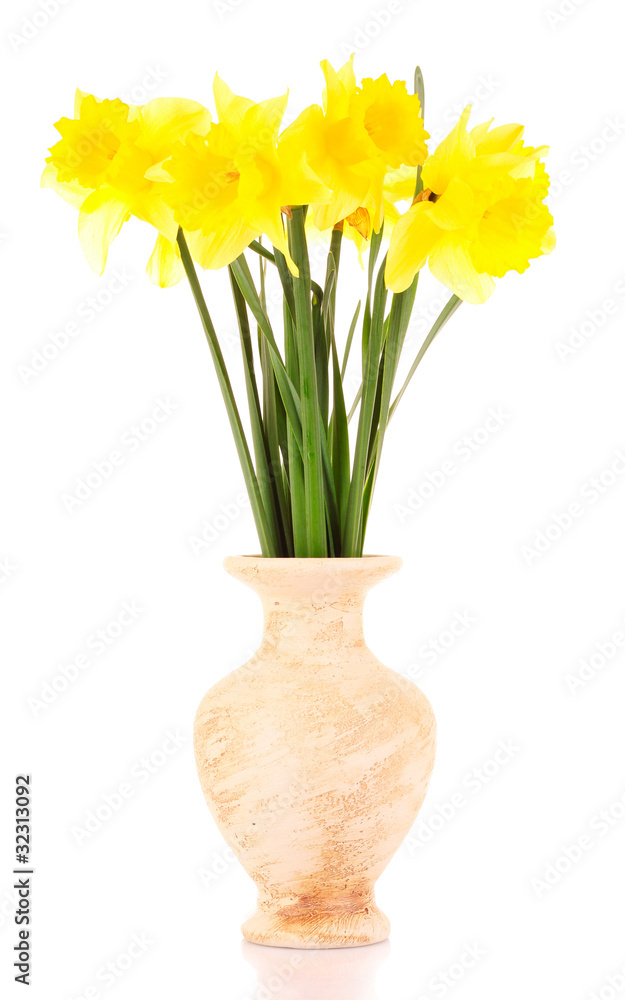 Yellow daffodils in a vase isolated on white Yellow daffodils in a vase isolated on white