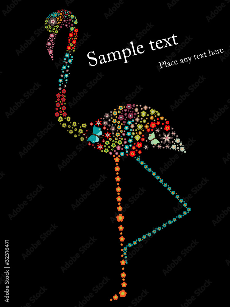 Flamingo Flamingo