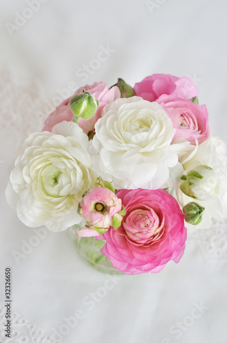 bunch of pink and white ranunculus on white background