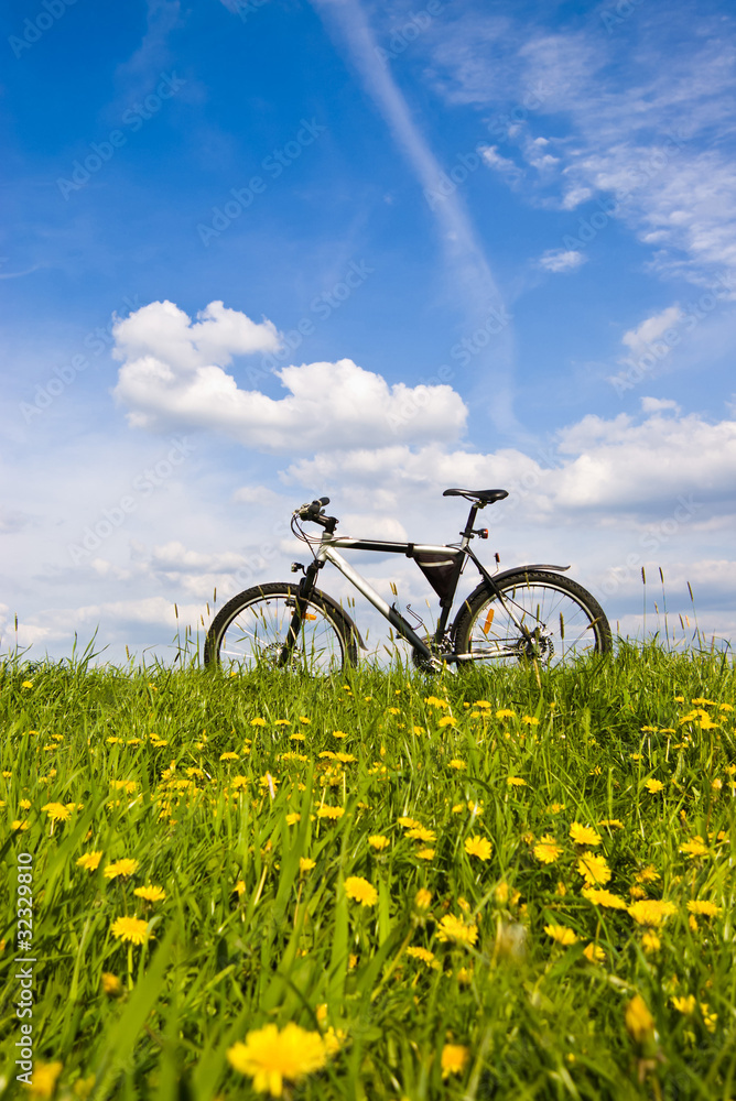 Fototapeta premium bike