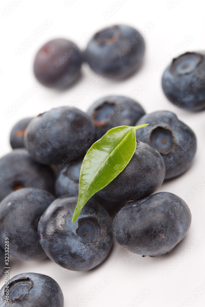 fresh blueberries fresh blueberries
