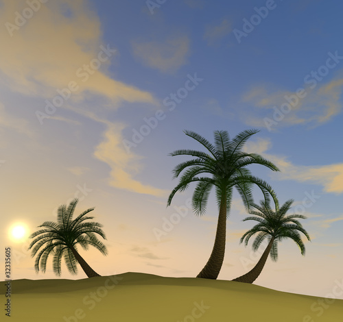3d render of island with palm-trees and hazy evening sun