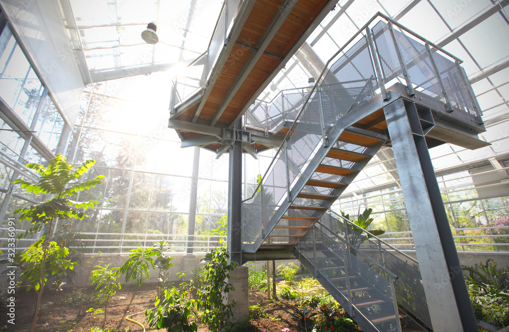 Stairs with an observation platform at the greenhouse Stairs with an observation platform at the greenhouse