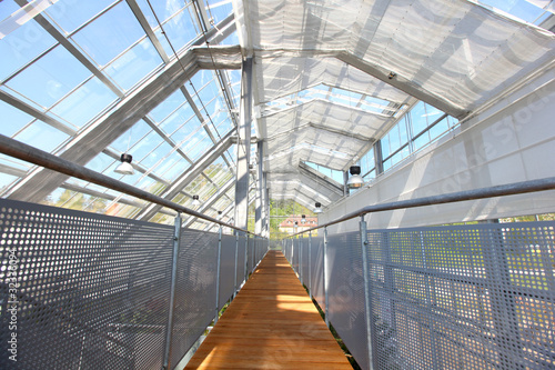 Glasshouse with glass roofing, wooden path and railing