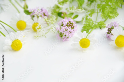 herbal flowers