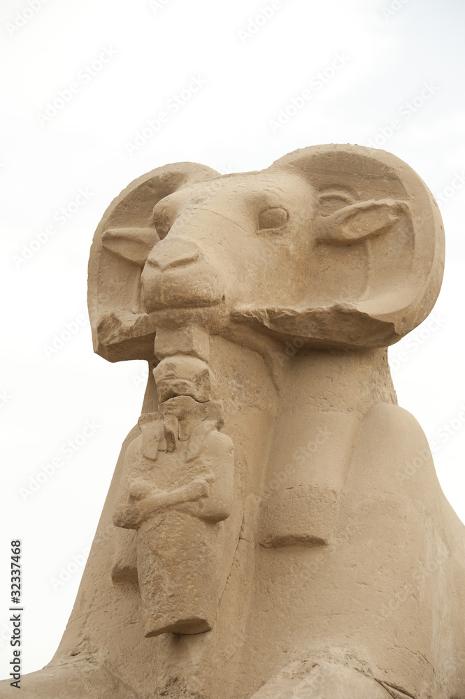 Ram headed sphinx at Karnak Temple isolated