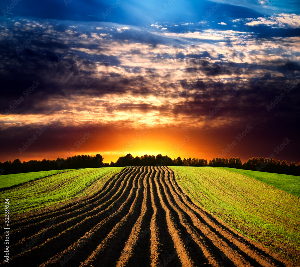 Landscape at sunset Landscape at sunset