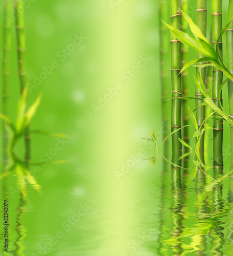 Fototapeta Naklejka Na Ścianę i Meble -  Bamboo reflected on water surface