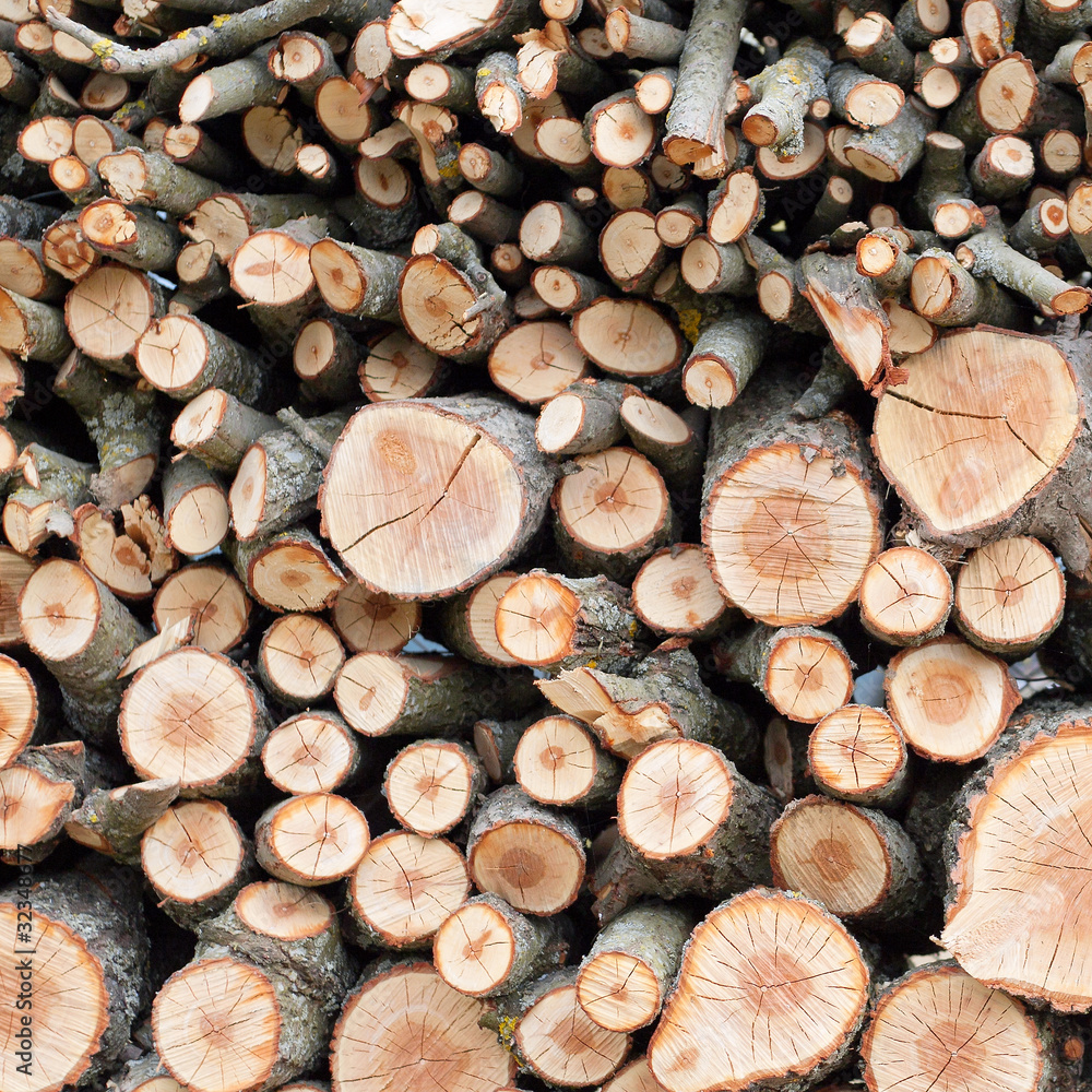 Background of dry chopped firewood logs stacked up in a pile