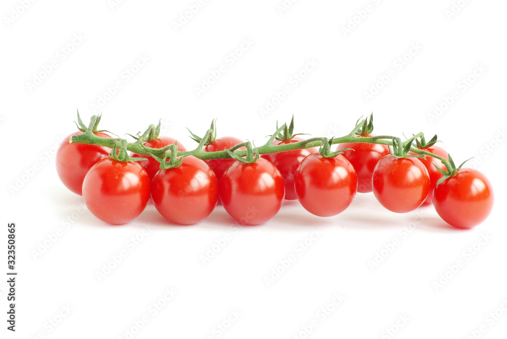 tomatoes tomatoes