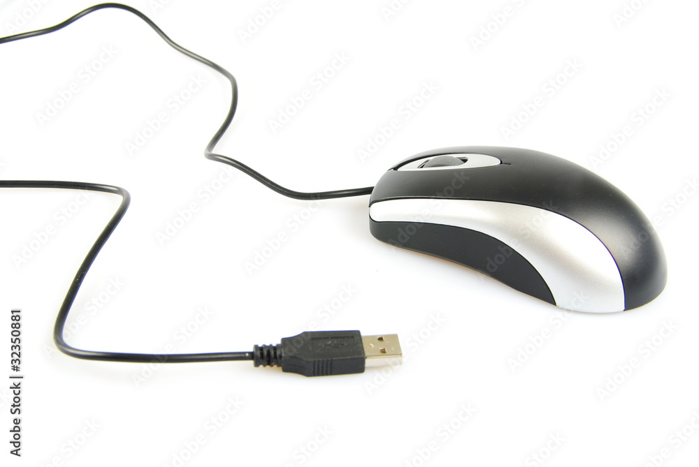 computer mouse computer mouse