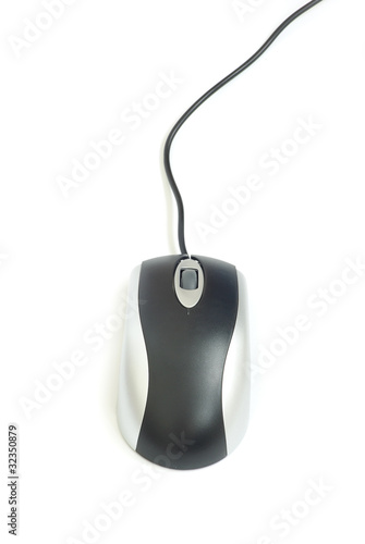 computer mouse