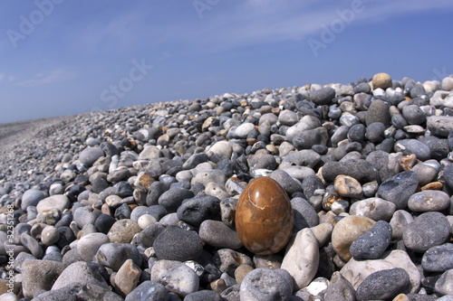 Egg on fllintstone along the coast photo