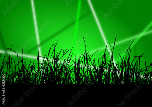 grass