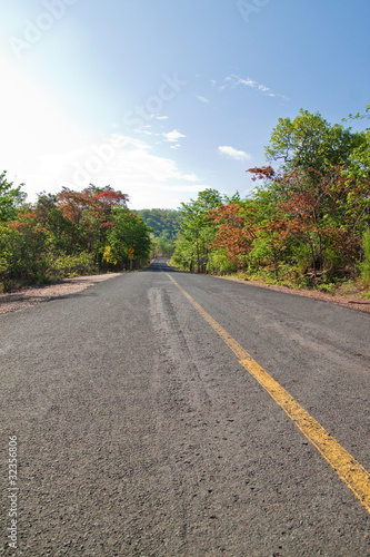 Road and Collorful of Tree in Countryside of Thailand