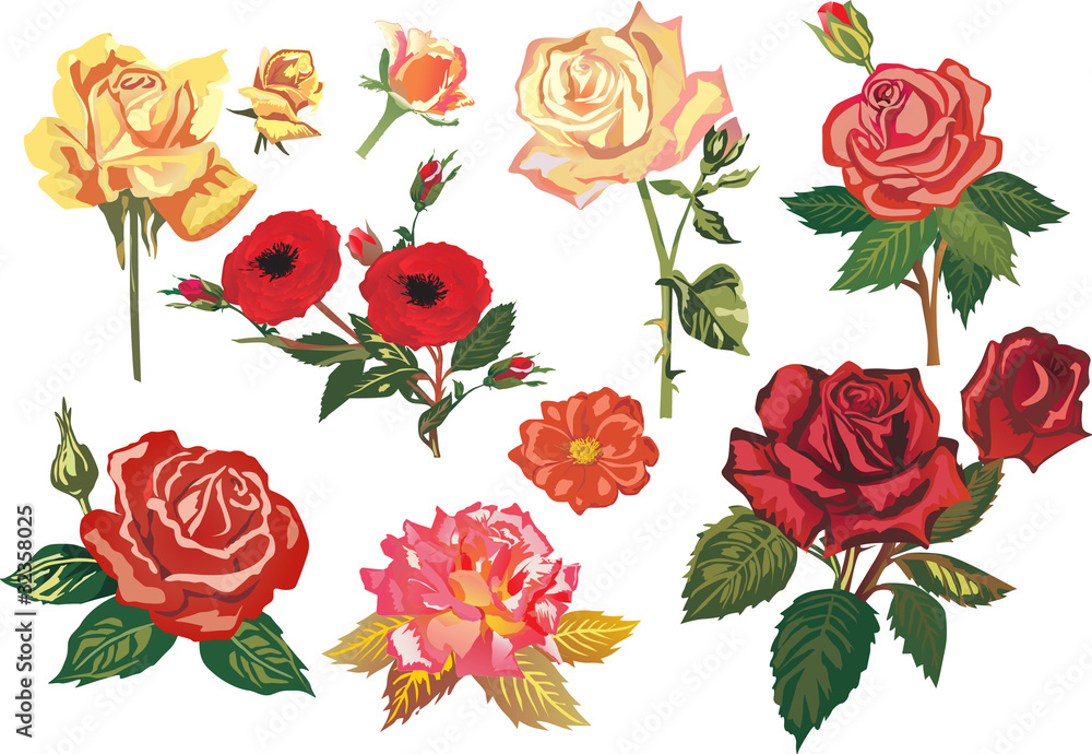 Fototapeta premium red and yellow rose branches