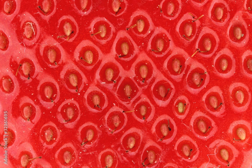 Erdbeerhaut Textur Makro 2