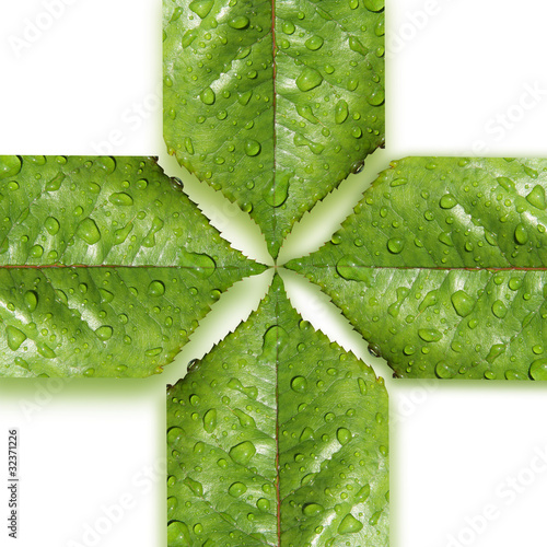 Medical symbol made ​​of leaves